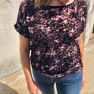 Club Monaco sheer top